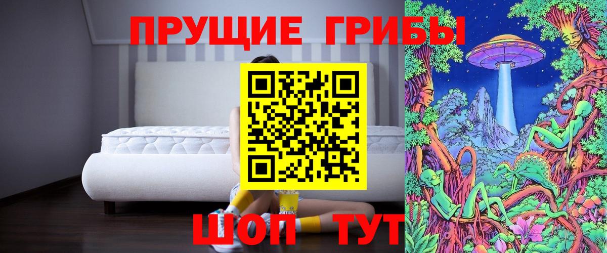 Псилоцибиновые грибы GOLDEN TEACHER  Псилоцибиновые грибы прущие грибы  Клинцы  Вход с VPN 