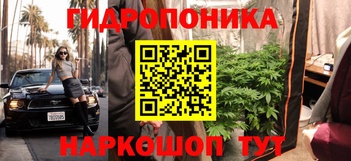 Каннабис OG Kush Клинцы